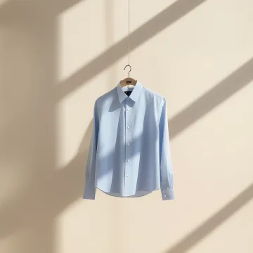 Shirt - Ironing